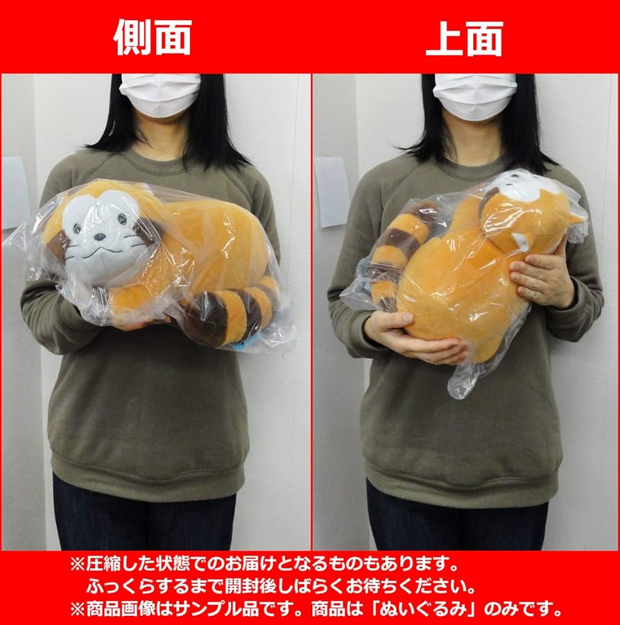 Amazon.co.jp: 世界名作劇場 あらいぐまラスカル ごろりんBIG